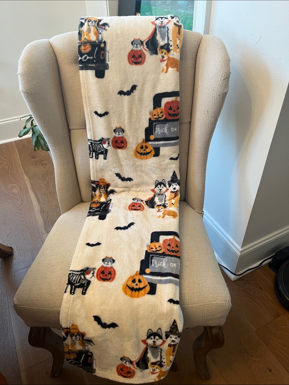 2 adorable Halloween blankets
